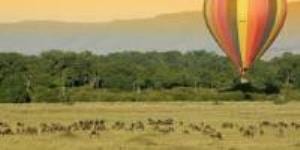 Uganda Safari Tour Companies 1