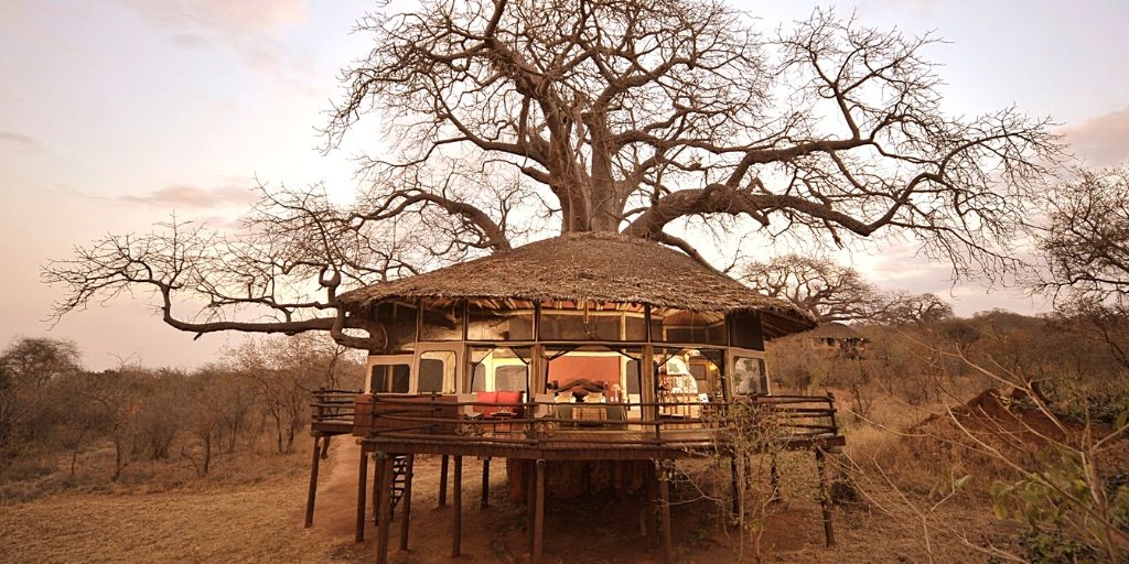 Tarangire Treetops Safari Lodge exterior