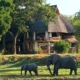Luangwa Safari House, one of the most luxurious in Africa