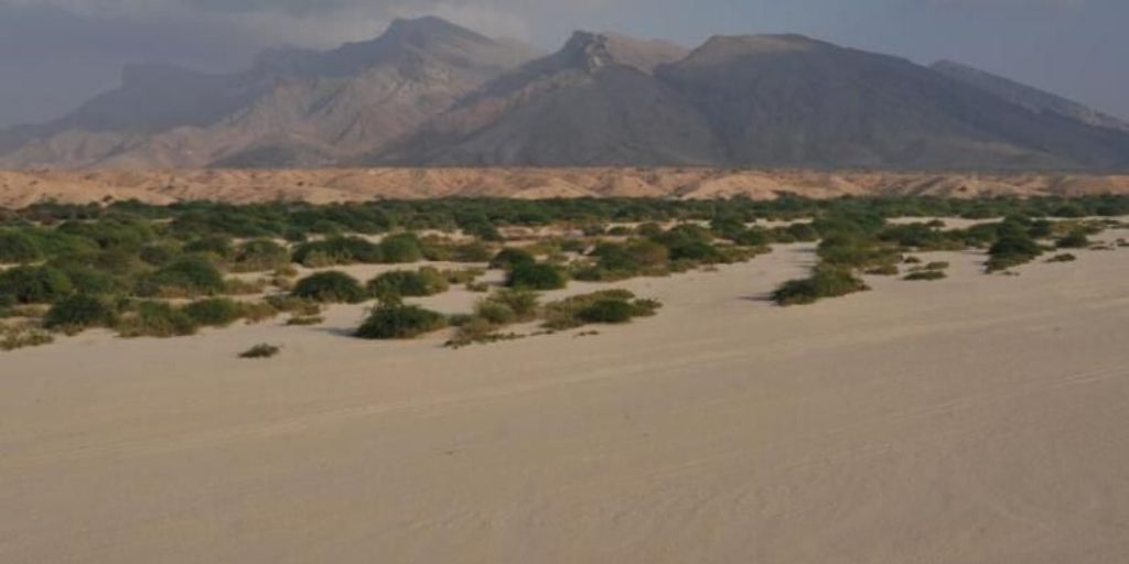 Somalia's Guban Desert from the air