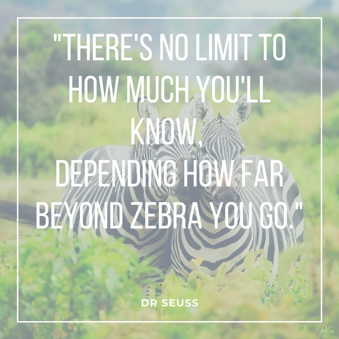 safari quotes on zebra