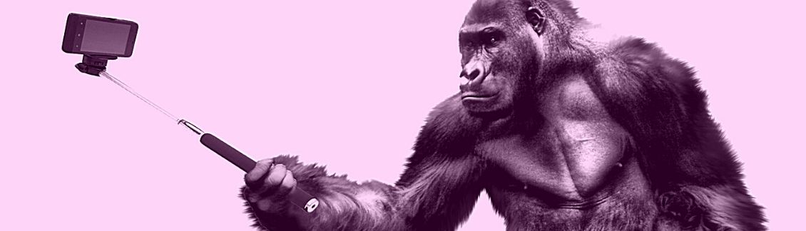 instagram safari caption - gorilla with selfie stick